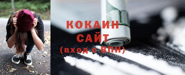 прущие грибы Алексеевка