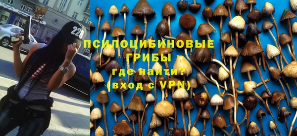 твердый Алексин
