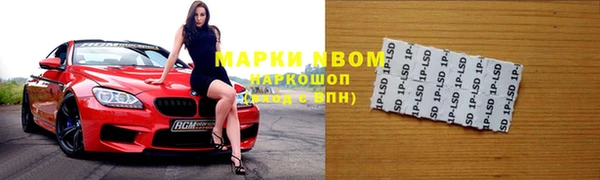 прущие грибы Алексеевка