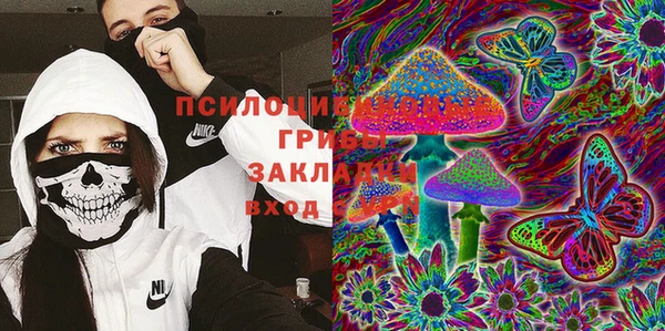 прущие грибы Алексеевка