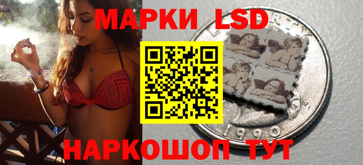 Марки N-bome 1,8мг  Вход с VPN  Лесной 