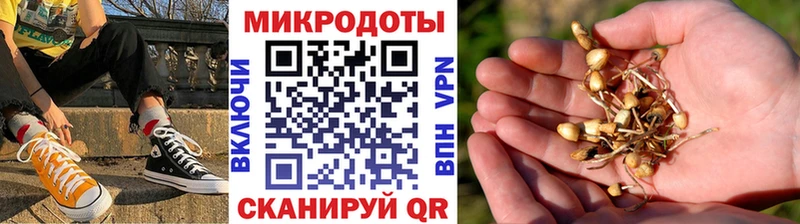 Псилоцибиновые грибы прущие грибы  магазин  наркотиков  Лесной 